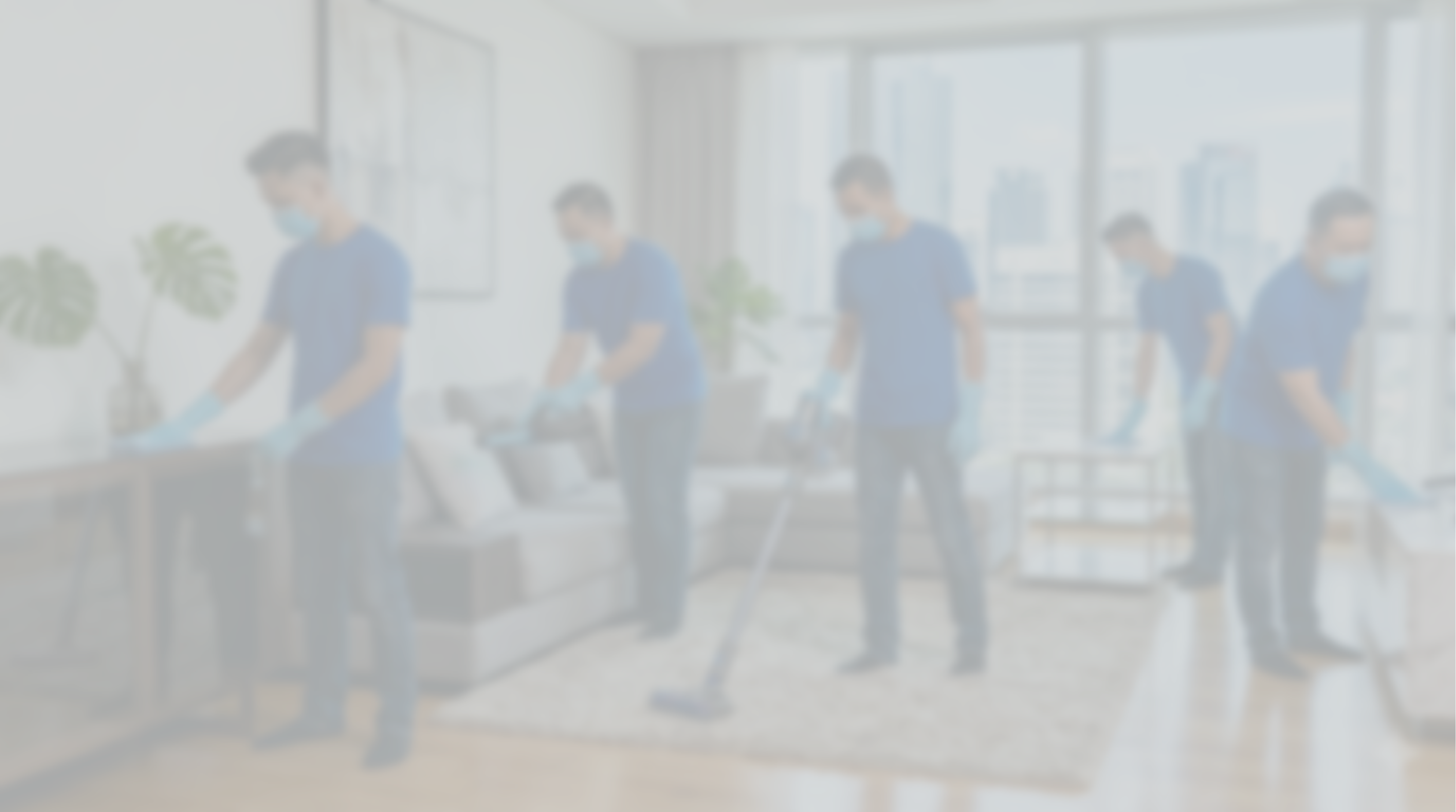 Adelia Clean — Features